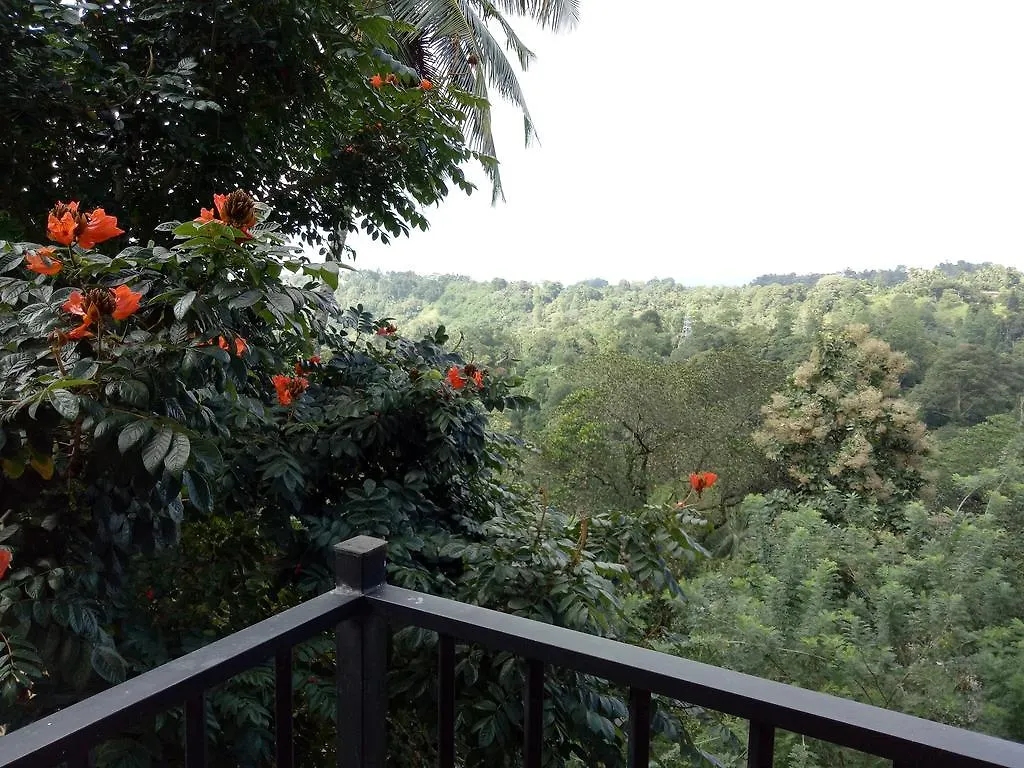 Guest house Chaya Hills Kandy Hotel Sri Lanka